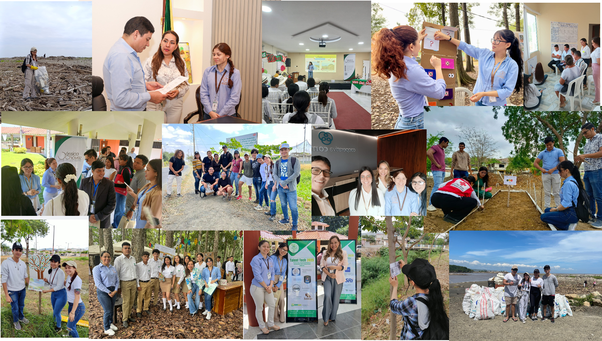 Equipo trabajando en proyectos ambientales